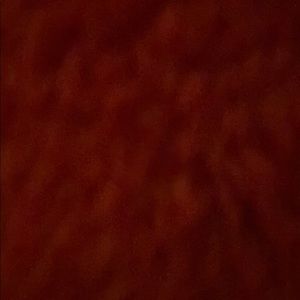 Meet your Posher, Joshua